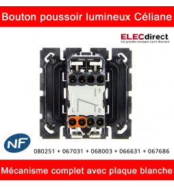 Legrand Céliane - Bouton Poussoir Lumineux - Ensemble Blanc