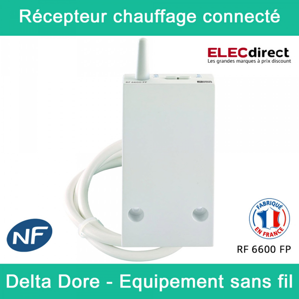 Récepteur Radio pour chauffage électrique RF 6600 FP - Delta Dore