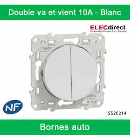 Double interrupteur va-et-vient à assembler Odace, SCHNEIDER ELECTRIC,  blanc