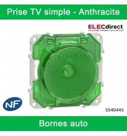 Schneider - Prise simple TV Odace - Anthracite - Antenne - Bornes auto - Réf : S540445