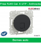 Schneider - Prise RJ45 Grade 1 Odace - Anthracite - Catégorie 6 UTP - Multimédia - IDC - Réf : S540475