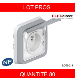 LEGRAND - LOT PROS- Plexo - Prise de courant encastré 2P+T 16A - 230V - IP55/IK07 - 069831X80