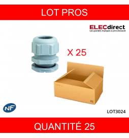 LEGRAND - LOT PROS - Presse-étoupe plastique - IP68 - ISO 20 - RAL 7001 - Réf : 098003X25