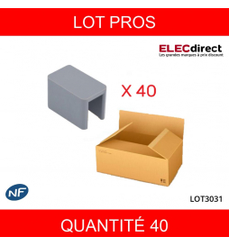 LEGRAND - LOT PROS - Capot d'extrémités pour peignes HX3 - Réf : 404989X40