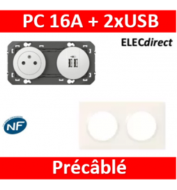 Legrand - Prise de courant 2P+T Surface + chargeur 2 USB Type-A dooxie 3A précâblés + plaque - 600342+600802