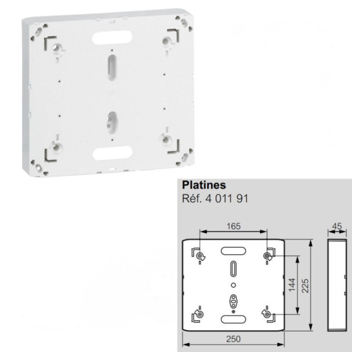 Legrand - Disjoncteur de branchement EDF 60A Instantané + Platine + Habillage 18Modules Avec Porte - Réf. : 401051+401191+401189