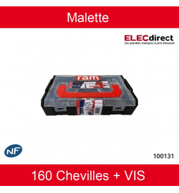 RAM - Mallette chevilles fusée FC + vis L Boxx RAM - Réf : 100131