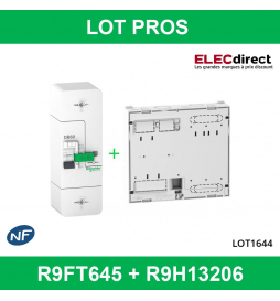 Schneider - Disjoncteur de branchement EDF 15/45A instantané + platine disjoncteur - R9FT645+R9H13206