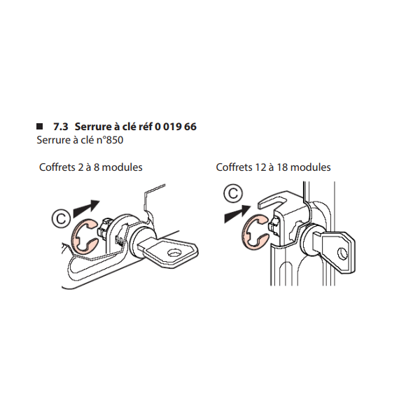 Legrand - Plexo³ - Coffret étanche + Serrure - 8 Modules - IP65/IK09  - Ref. : 001908+001966