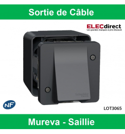 Schneider - Mureva - Sortie de Câble Complète saillie - Connexion AUTO - Gris - IP55 IK08 - Réf : LOT3065