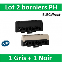 Schneider - Resi9 - lot de 2 borniers phase - 1 x gris 1 x noir - 6 trous 16² - 1 trou 35² - R9H13411P