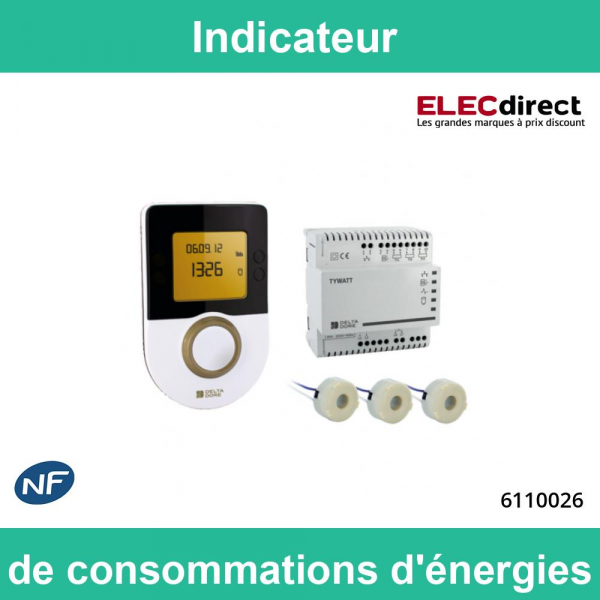 Delta Dore - Indicateur de consommations d'énergies - Réf : TYWATT 1000 -  ELECdirect Vente Matériel Électrique