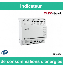 Delta Dore - Indicateur de consommations d'énergies - Réf : TYWATT