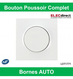 Schneider Odace - Bouton poussoir Complet - 10A - 250V - Réf : S520206 + S520702