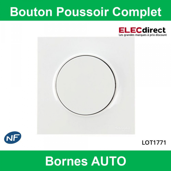 Schneider Odace - Bouton poussoir Complet - 10A - 250V - s520206+s520702