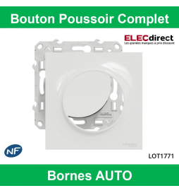 Schneider Odace - Bouton poussoir Complet - 10A - 250V - s520206+s520702