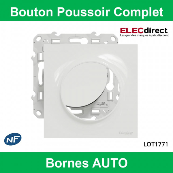 Schneider Odace - Bouton poussoir Complet - 10A - 250V - s520206+s520702