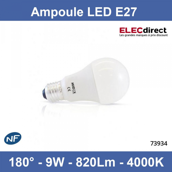 Ampoule E27 Gros culot vis