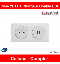 Legrand - Prise de courant 2P+T + Prise double USB Complet - 16A - Blanc - Réf : LOT3073