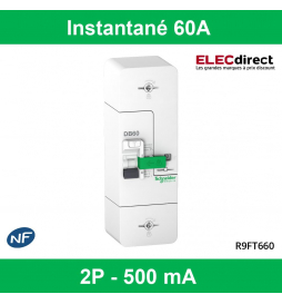 Schneider - Disjoncteur de branchement EDF 60A - Fixe - Instantané - 500mA - Bipolaire - Réf : R9FT660