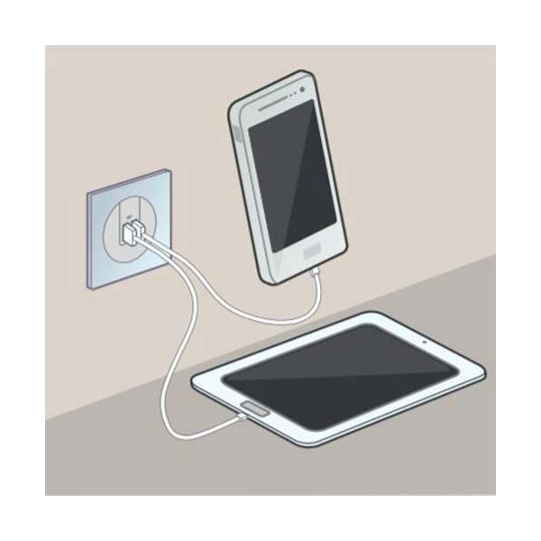 Legrand - Dooxie - Double chargeur USB Type-A - 2,4A - Finition Blanc - Réf : 600343