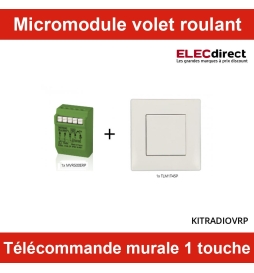 Télécommande sans fil murale Yokis