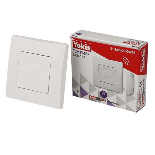 Yokis - Power - Télécommande Murale 2 touches - Réf : TLM2T45P