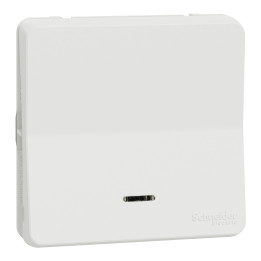 Schneider - Mureva Styl - Va et vient lumineux - Composable - IP55/IK08 - Connexion auto - Blanc - Ref : MUR39024