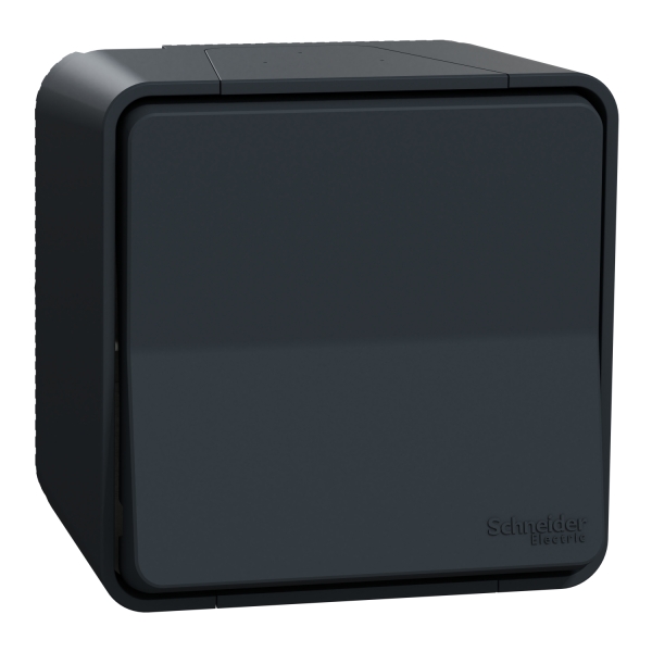 Schneider - Mureva Styl - Va et vient - saillie - IP55 - IK08 - connexion auto - gris - Réf : MUR35021