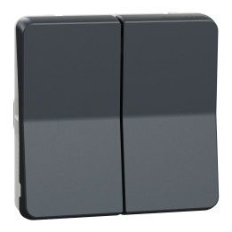 Schneider - Mureva Styl - Double va et vient - Composable - IP55/IK08 - Connexion auto - Gris - Ref : MUR35019