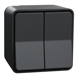 Schneider - Mureva Styl - Double va et vient - Saillie - IP55/IK08 - Connexion auto - Gris - Ref : MUR35022