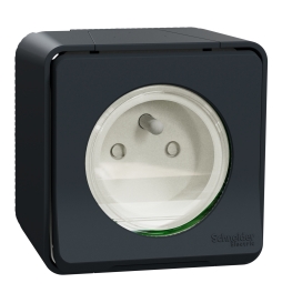 Schneider - Mureva Styl - Prise courant 2P+T - saillie - IP55 - IK08 - connexion auto - gris - MUR35031