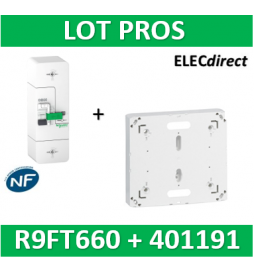 Disjoncteur de branchement EDF 60A instantané + Platine Legrand - 500mA - bipolaire - R9FT660+401191