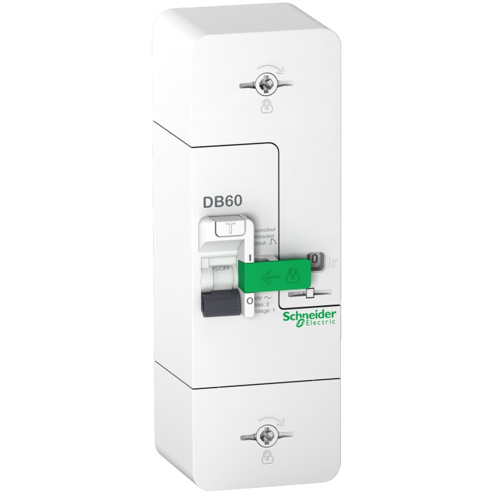 Schneider - Disjoncteur de branchement EDF 15/45A instantané - 500mA - bipolaire - Réf : R9FT645