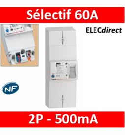 Legrand - Disjoncteur de branchement EDF 60A sélectif - non réglable - 500mA - bipolaire - 401006