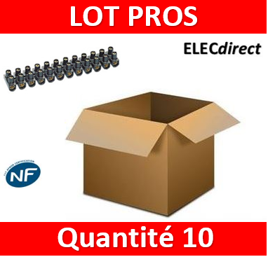 Legrand - Barrette de connexion Nylbloc - Bornier 12 pôles 6 mm2 à vis - 034213x10