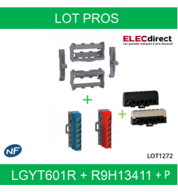 Schneider - Resi9 - Kit supports borniers pour coffrets Resi9 et Pragma ou tout rail Din - LGYT601R+R9H13411 + R9H13411P