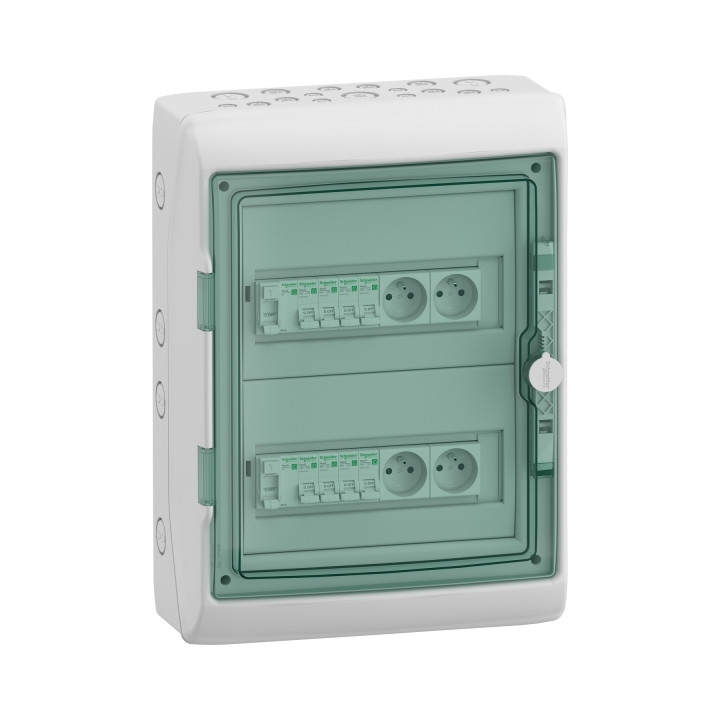 Schneider - Mureva - Coffret étanche - 2 Rangées 12 Modules - IP65/IK09 - Réf : 13964M