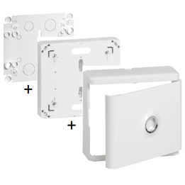 Legrand - Platine Disj. branchement EDF + Habillage 13Modules avec Porte + Plaque de Fond Isolant - Réf. :  401191+401185+401193