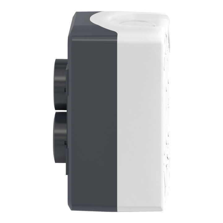 Schneider - Harmony boite - 2 boutons poussoirs Ø22 - blanc /noir - Réf : XALD222