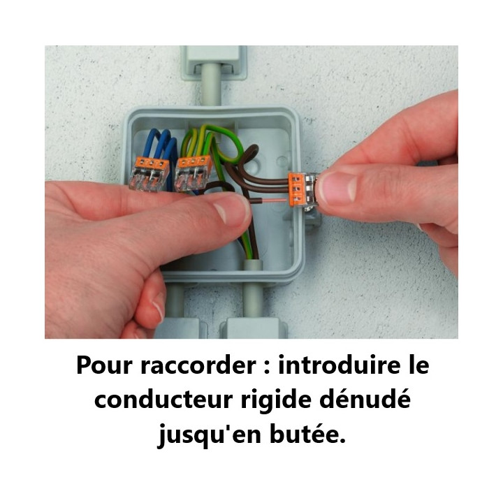 WAGO - Boîte de 50 Bornes auto fils rigide 8 x 2,5mm2 - Réf.: WAG 2273-208