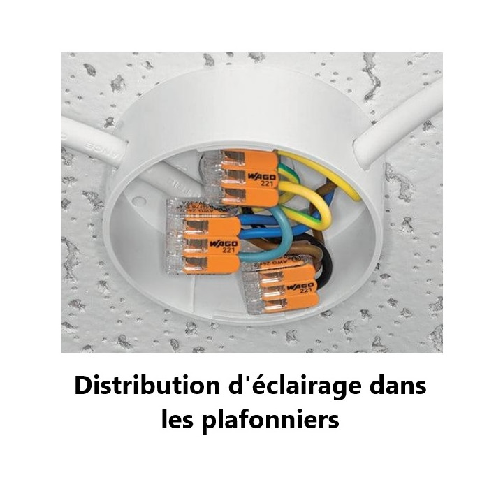 WAGO - Boîte de 100 Bornes auto fils Souple / Rigide 2 x (0.08 à 4mm2) - Réf.: WAG 221-412