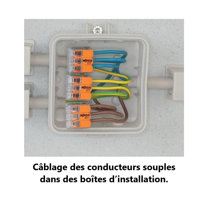 WAGO - Boîte de 100 Bornes auto fils Souple / Rigide 2 x (0.08 à 4mm2) - Réf.: WAG 221-412
