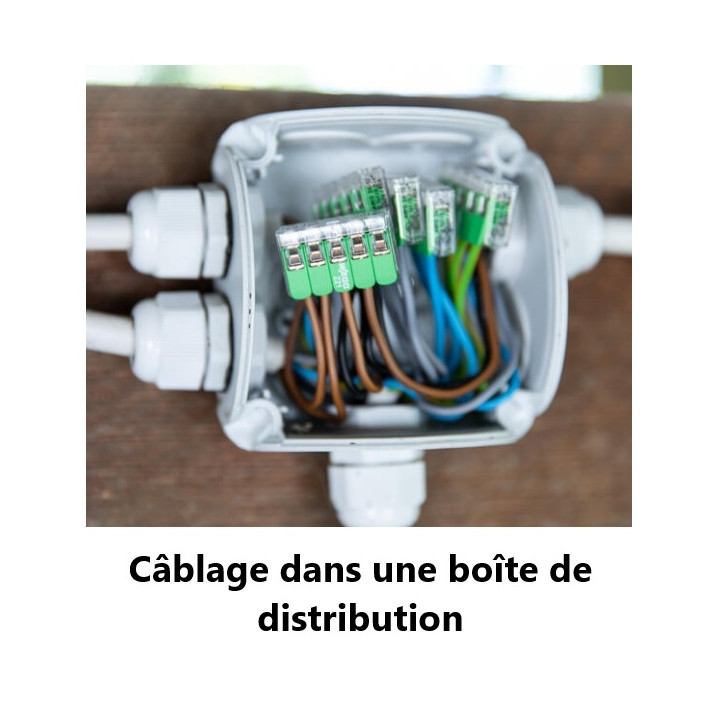 WAGO - Boîte de 25 Bornes GREEN Range auto fils souple / rigide 5 x (0,2 à 4mm2) - Réf : WAG 221-425