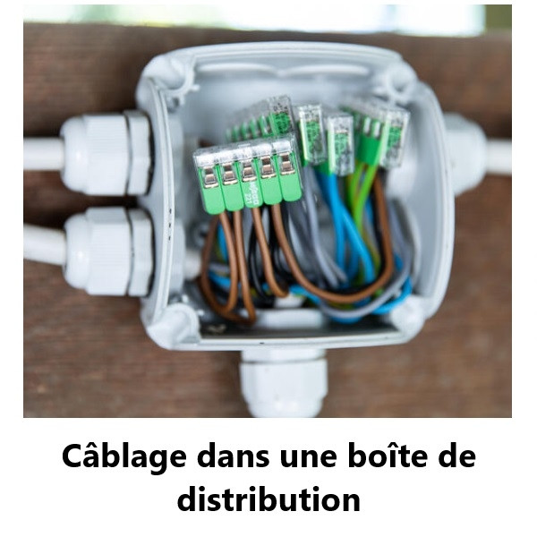 WAGO - Boîte de 25 Bornes GREEN Range auto fils souple / rigide 5 x (0,2 à 4mm2) - Réf : WAG 221-425