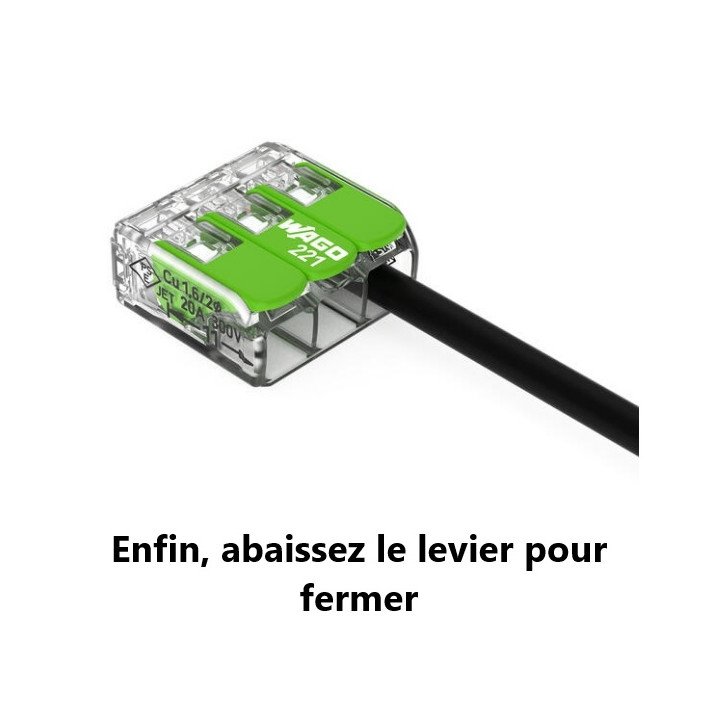 WAGO - Boîte de 25 Bornes GREEN Range auto fils souple / rigide 5 x (0,2 à 4mm2) - Réf : WAG 221-425