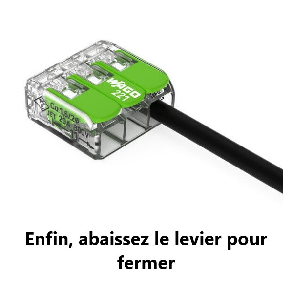 WAGO - Boîte de 25 Bornes GREEN Range auto fils souple / rigide 5 x (0,2 à 4mm2) - Réf : WAG 221-425