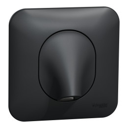 Schneider - Ovalis - Sortie de câble - Fixation VIS/GRIFFES - Anthracite - Réf : S466662