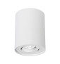 Spectrum - Spot intérieur en saillie - CHLOE GU10 blanc - IP20, 10W LED max - Réf : SLIP004002