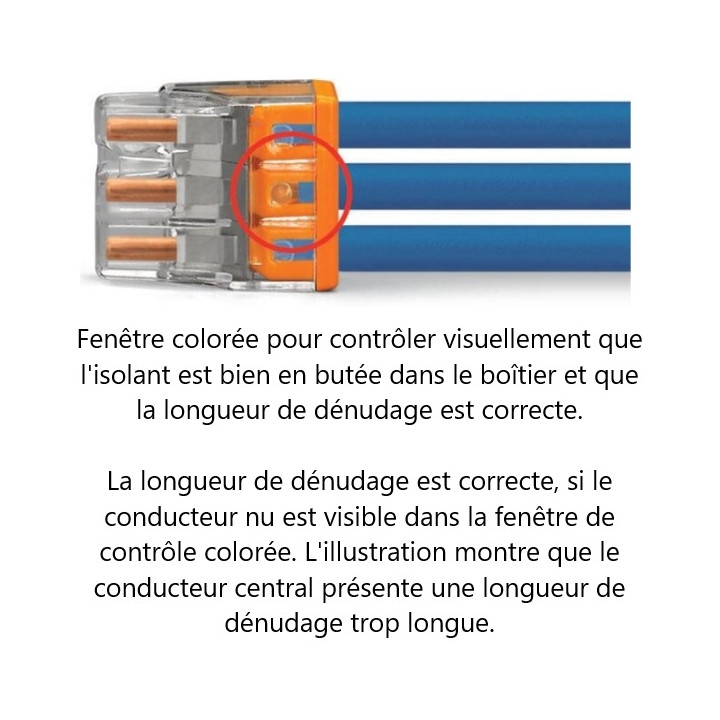 WAGO - 1 Boîte 2273-202 - 1 Boîte 2273-203 - 1 Boîte 2273-204 - 1 Boîte 2273-205 - Réf.: LOT2801